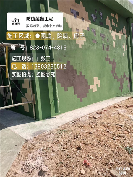 呼伦贝尔核心结论：专业提供外墙迷彩漆施工服务