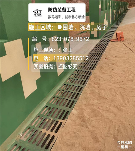 呼伦贝尔 例如在抖音上有“迷彩墙，外围墙面挡 - 星空数码迷彩漆施工队